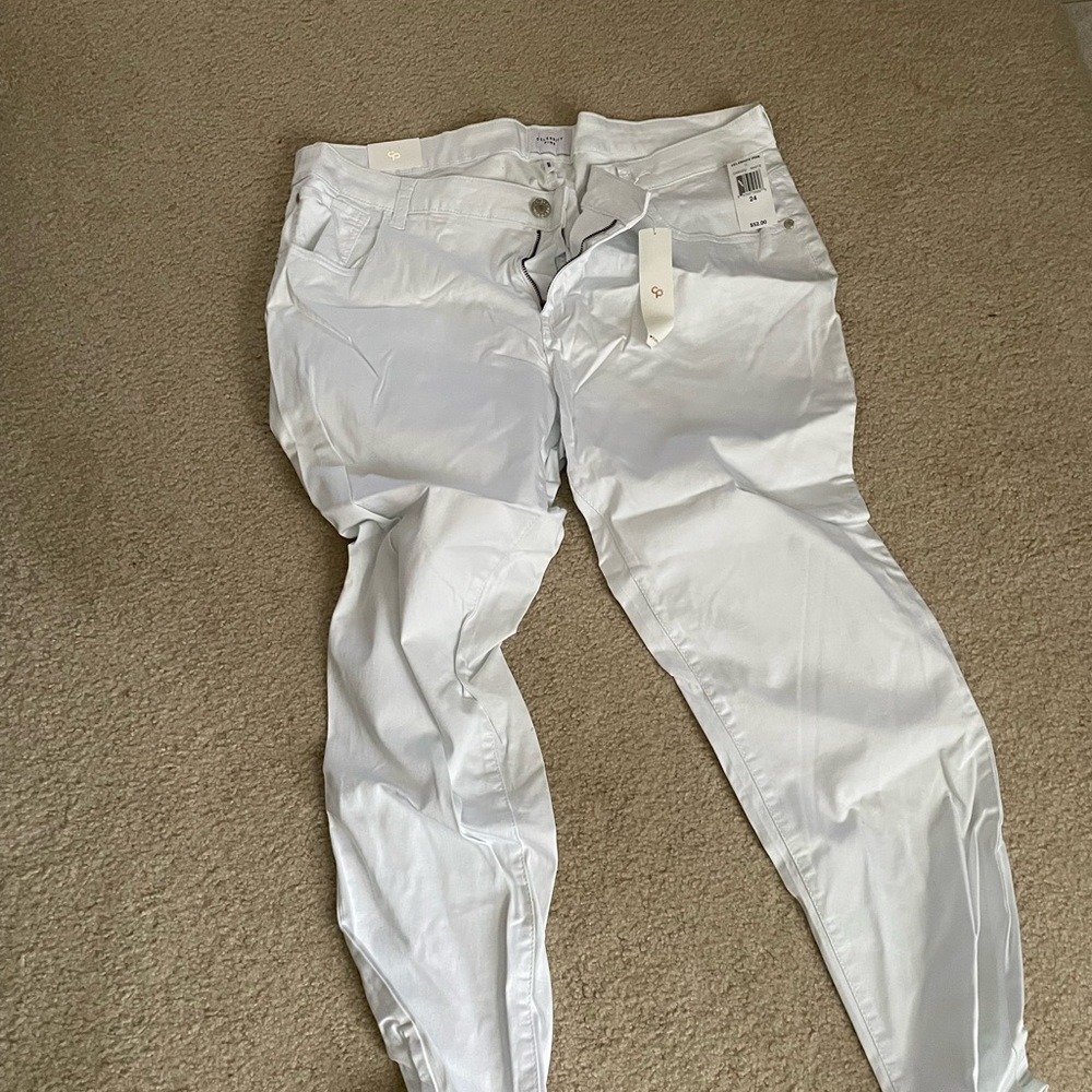 Celebrity Pink Skinny Jeans Size 24